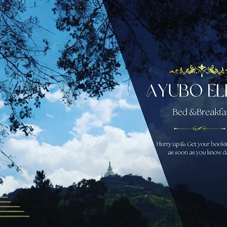 Ayubo Ella - Bed & Breakfast Exteriör bild